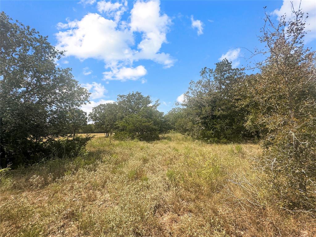 33 +/- Acres Davis Road, Muldoon, Texas image 7