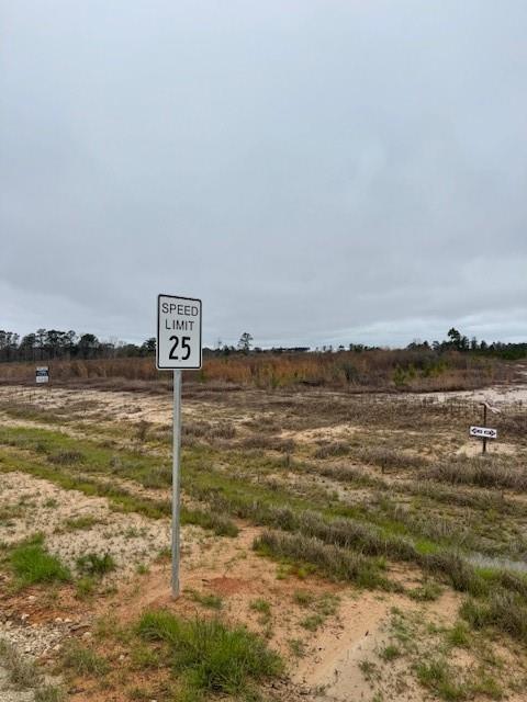 TBD Blackjack Road Tract 51, Livingston, Texas image 1