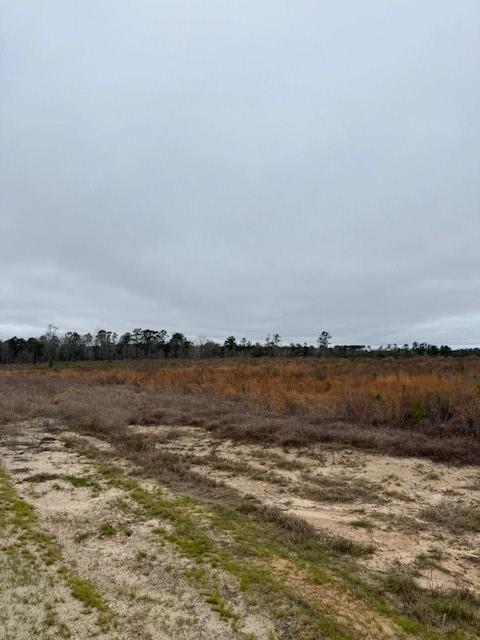 TBD Blackjack Road Tract 51, Livingston, Texas image 4