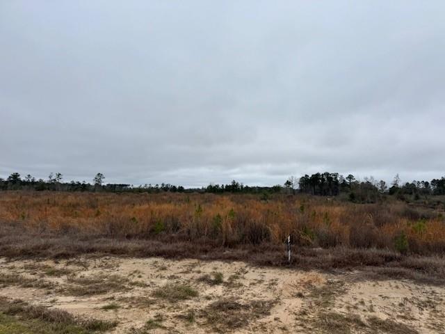 TBD Blackjack Road Tract 51, Livingston, Texas image 3