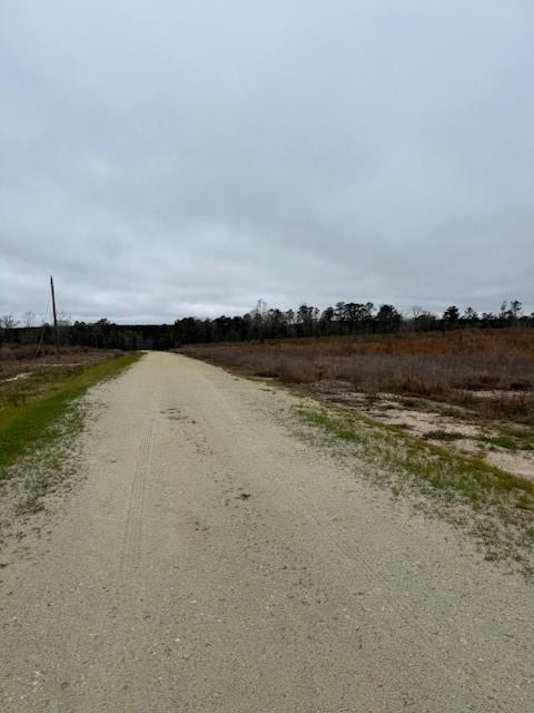 TBD Blackjack Road Tract 51, Livingston, Texas image 5