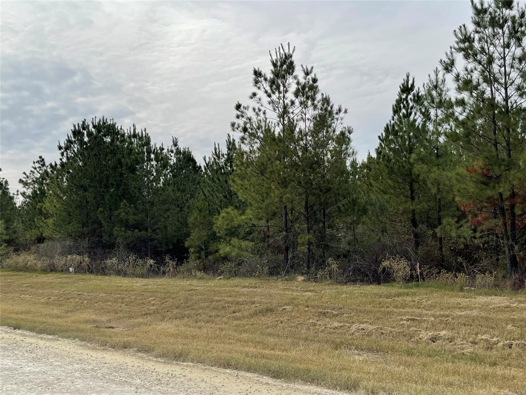 15309 Forest Grove Drive, Willis, Texas image 7