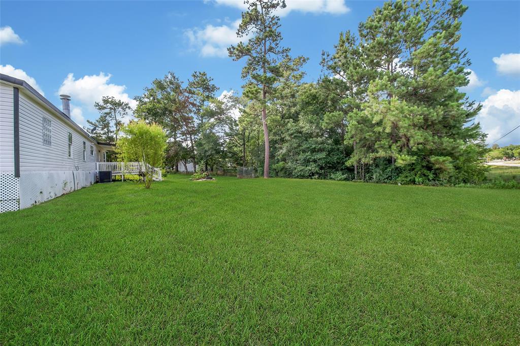 27010 Sonora Trail, Magnolia, Texas image 6