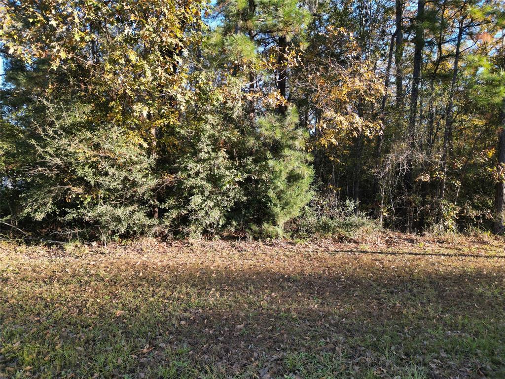 00 Meridian, Livingston, Texas image 5