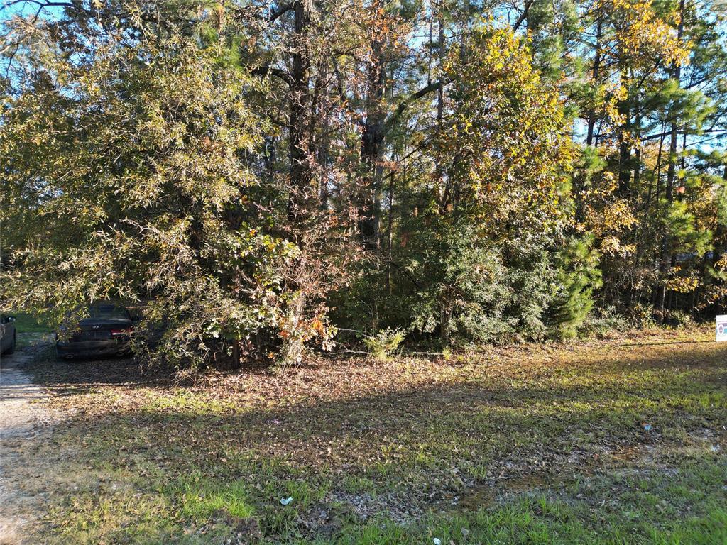 00 Meridian, Livingston, Texas image 6