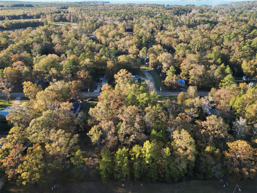 00 Meridian, Livingston, Texas image 2