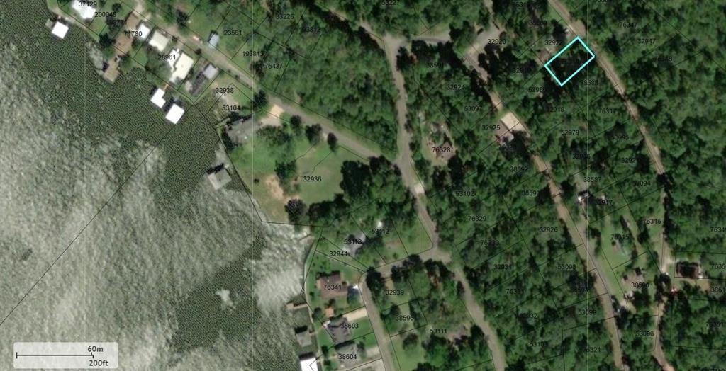 503 Lakeshore Point Drive, Livingston, Texas image 2