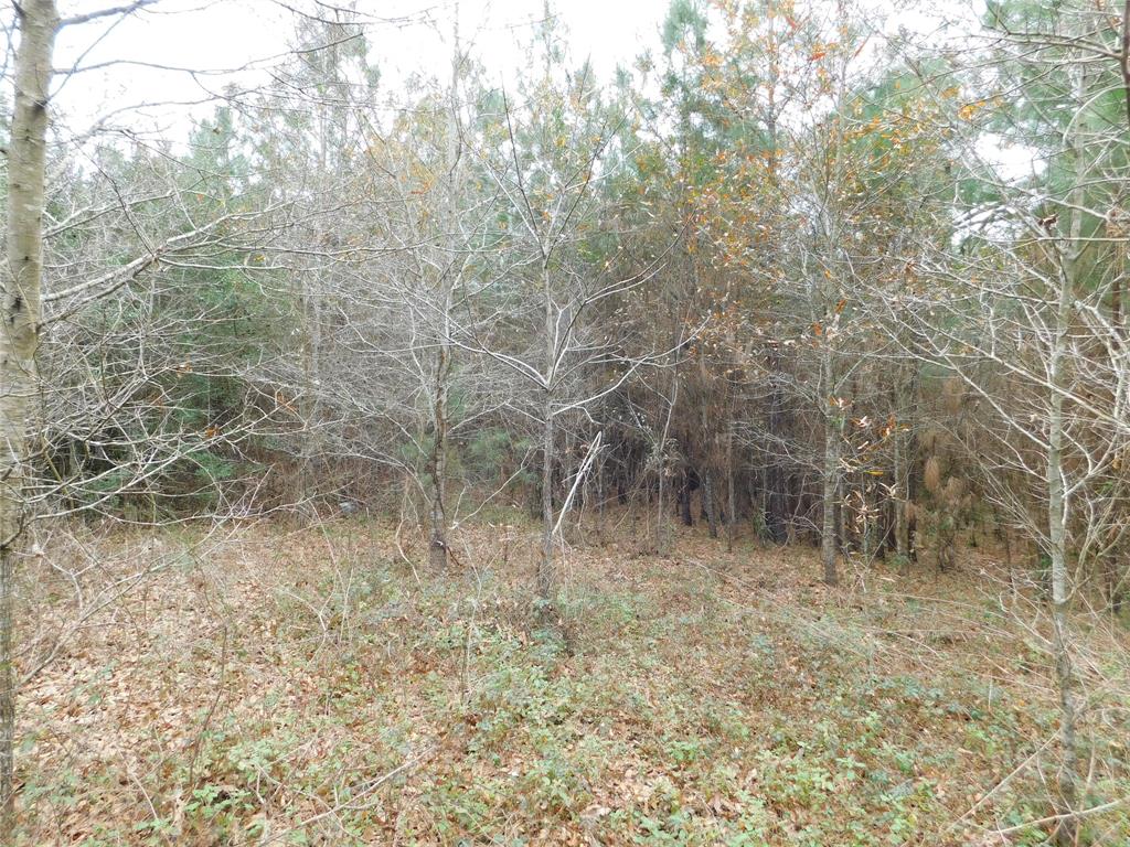 11270 E State Highway 190, Bon Wier, Texas image 30