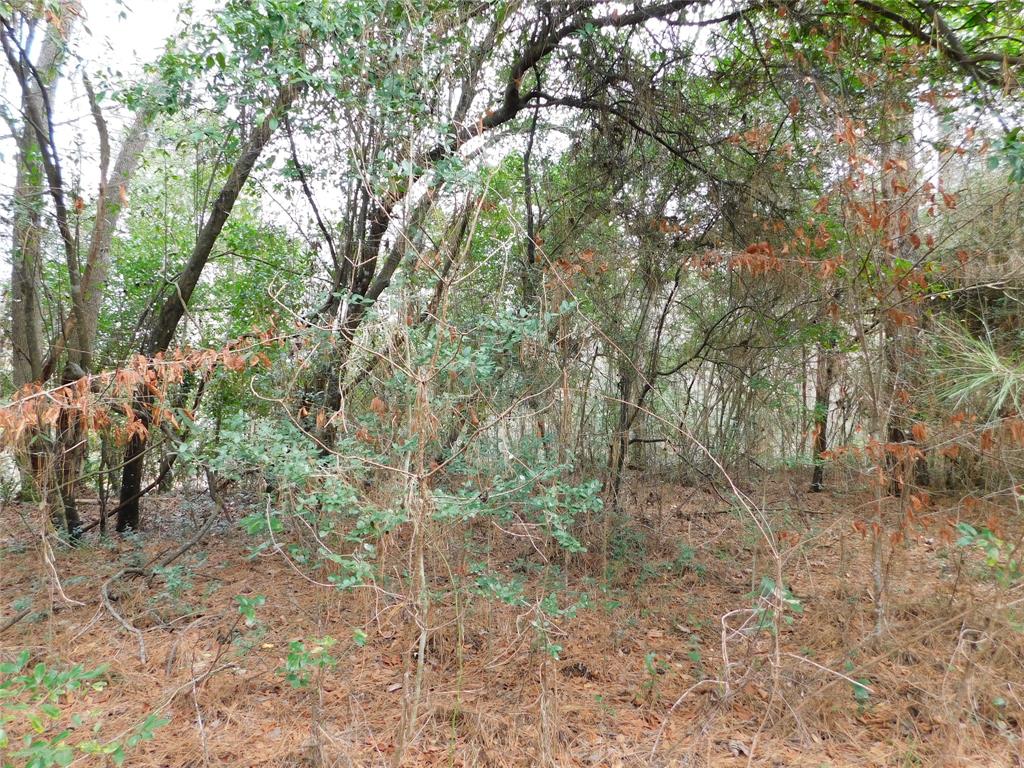 11270 E State Highway 190, Bon Wier, Texas image 12