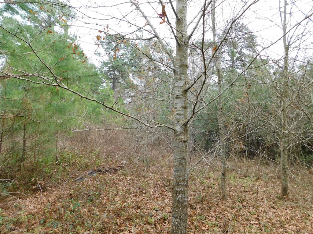 11270 E State Highway 190, Bon Wier, Texas image 28