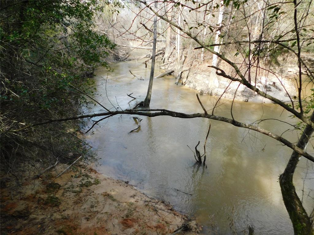 11270 E State Highway 190, Bon Wier, Texas image 10