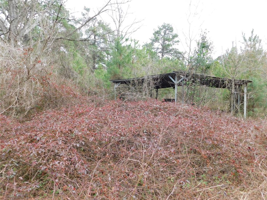 11270 E State Highway 190, Bon Wier, Texas image 2