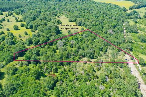 Tract 10 FCR 295 Oakwood TX 75855