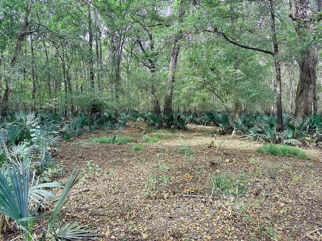 Lot 1 & 2 Harper Branch Road