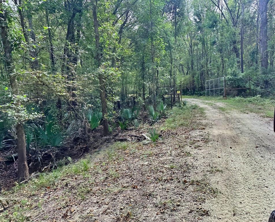 Lot 1 & 2 Harper Branch Road, Trinity, Texas image 6