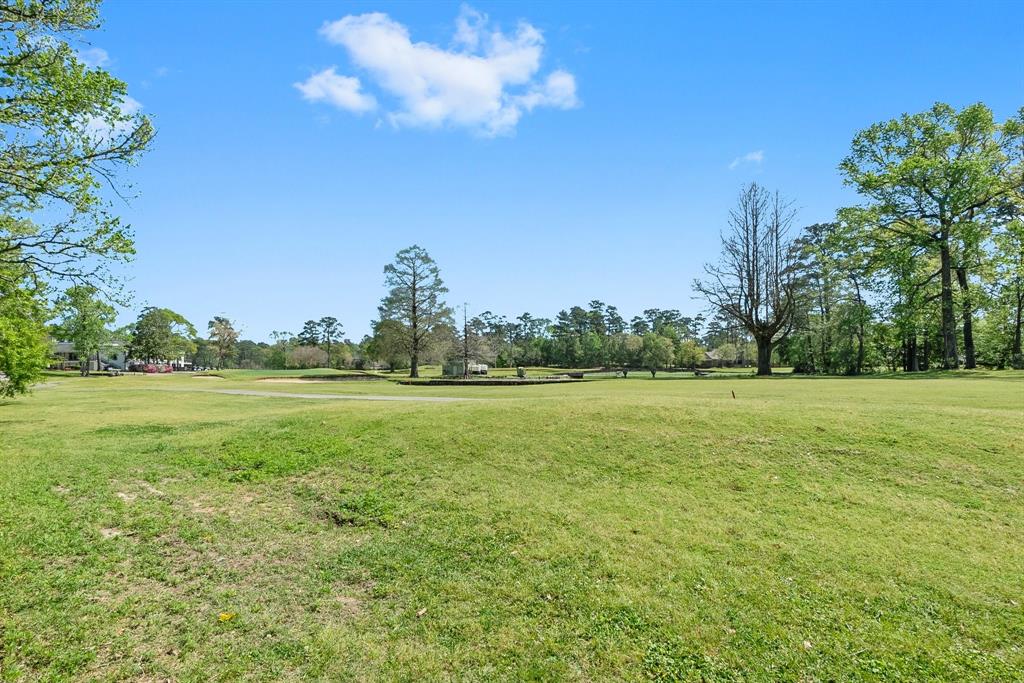 557 Hermitage Court, Conroe, Texas image 44