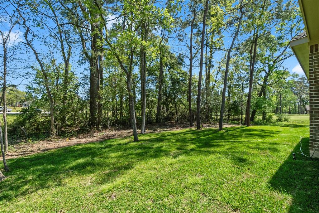 557 Hermitage Court, Conroe, Texas image 41