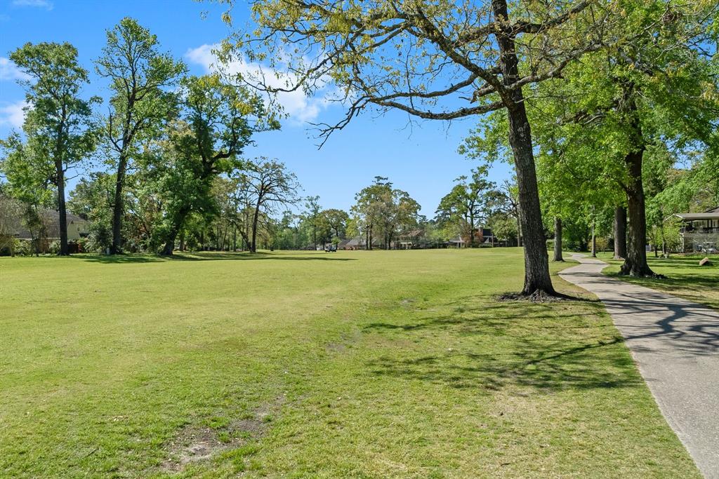 557 Hermitage Court, Conroe, Texas image 48