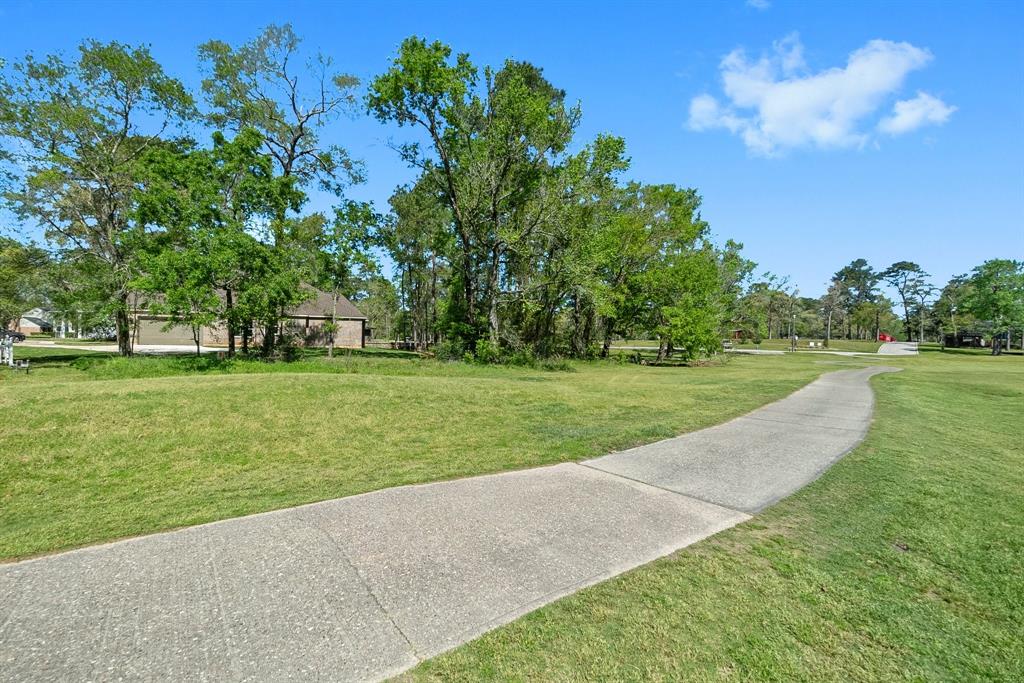 557 Hermitage Court, Conroe, Texas image 47
