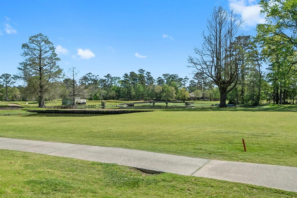 557 Hermitage Court, Conroe, Texas image 45