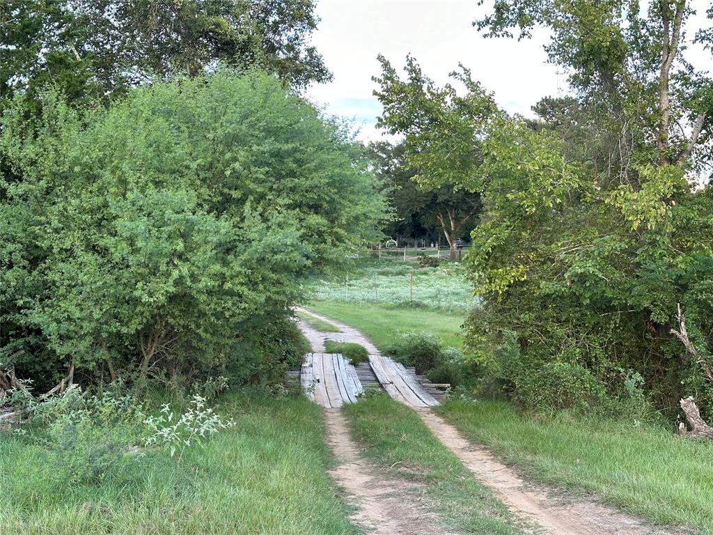 TBA County Road 132, Hallettsville, Texas image 6