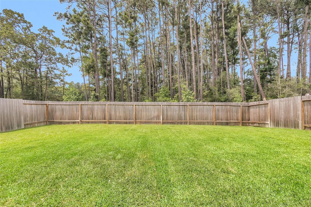 25720 Sweetpea Court, Montgomery, Texas image 42
