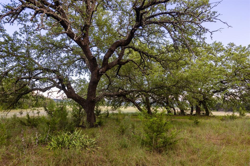 518 County Road 1403, Lometa, Texas image 49