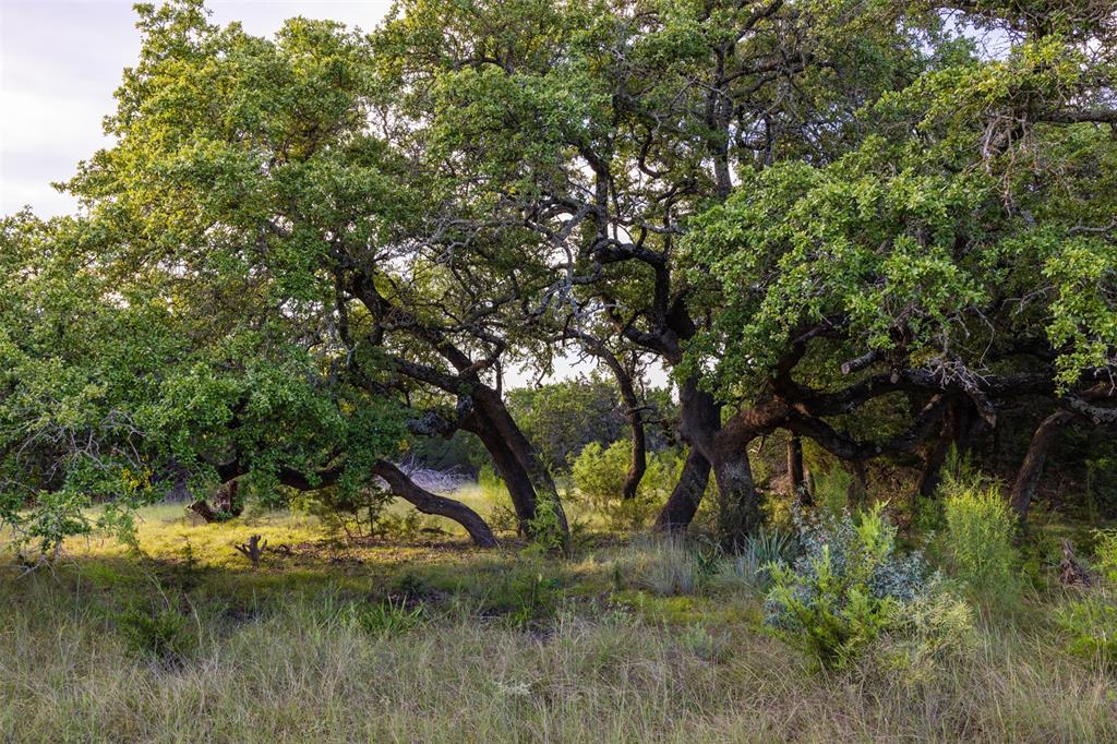 518 County Road 1403, Lometa, Texas image 46