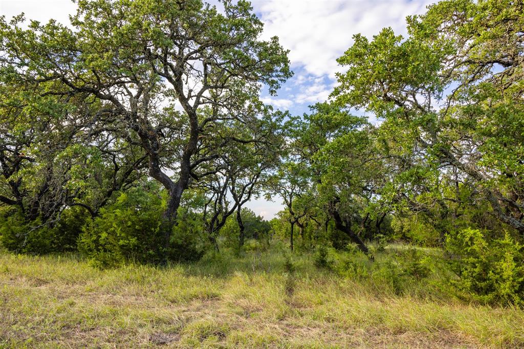 518 County Road 1403, Lometa, Texas image 47