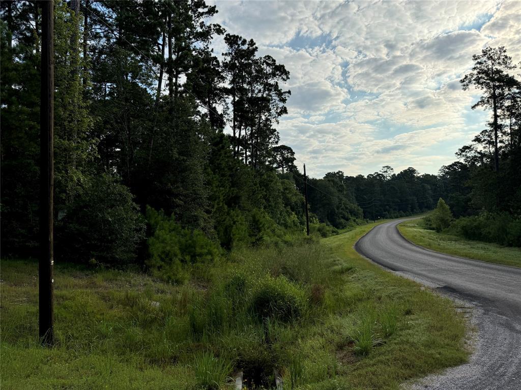 4B-6-205 Single Shot Court, Huntsville, Texas image 6