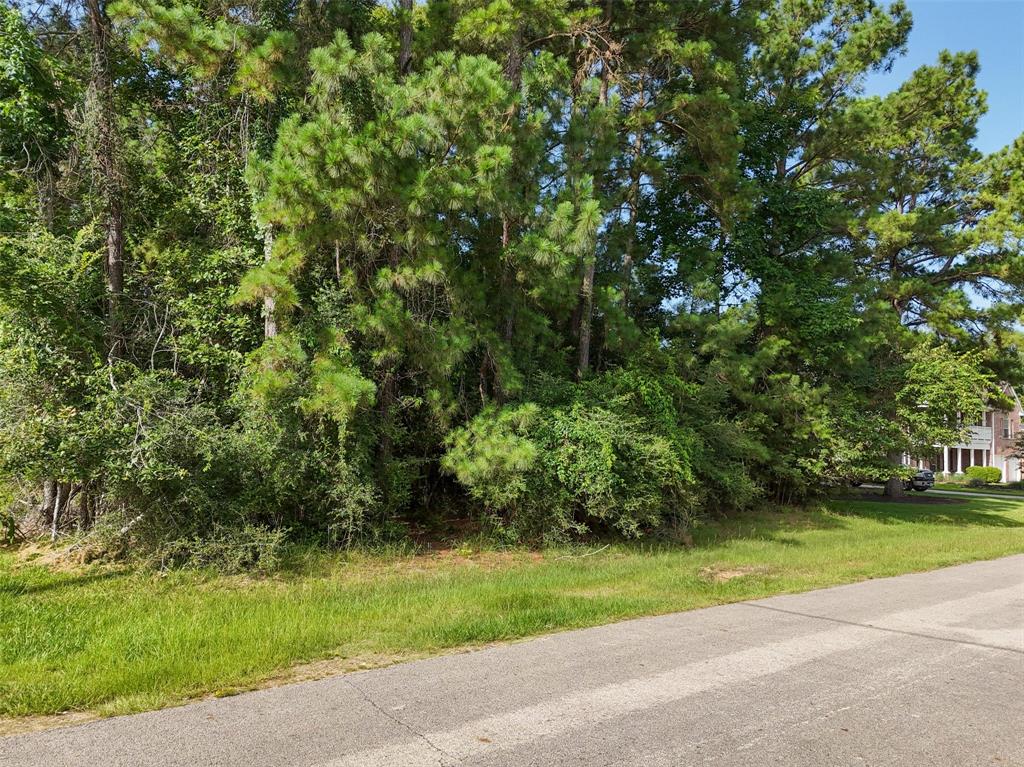 0000 Dillon Drive