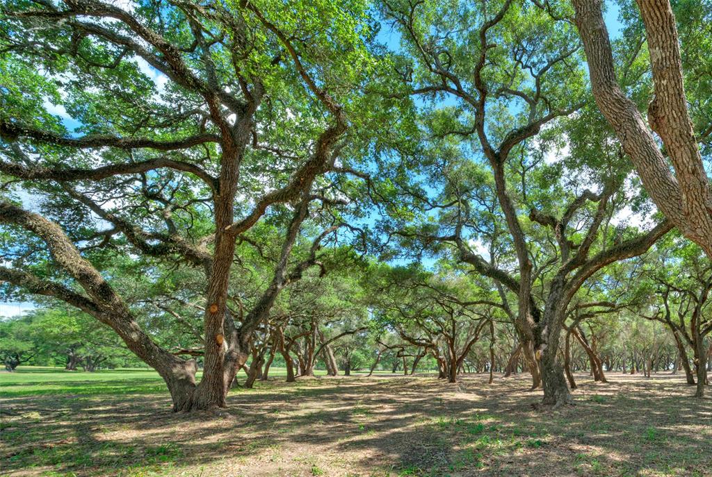 13153 Frantz Road, Cat Spring, Texas image 18