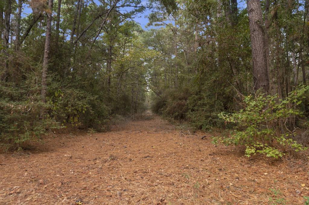 132 County Road 2195, Grapeland, Texas image 38