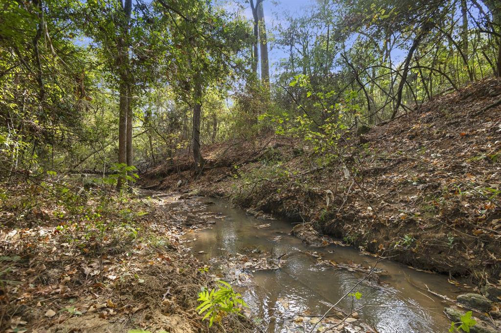 132 County Road 2195, Grapeland, Texas image 32