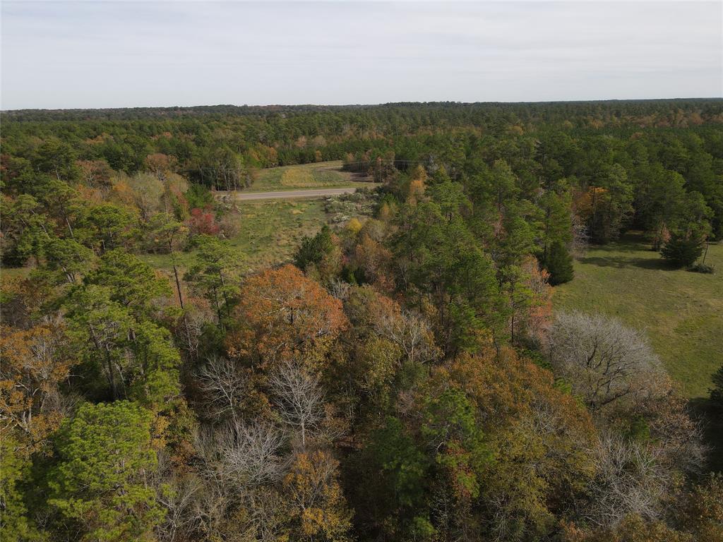 T3 Hwy 146 Highway, Rye, Texas image 3