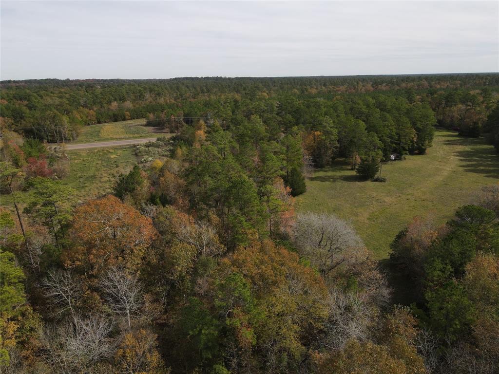 T3 Hwy 146 Highway, Rye, Texas image 2