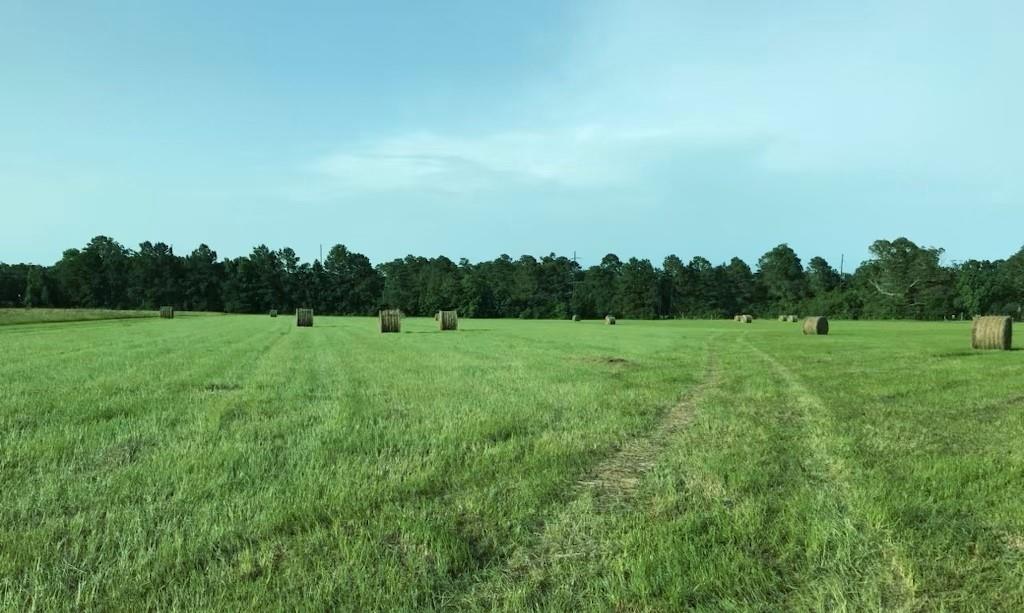 TBD State Highway 150, Coldspring, Texas image 16