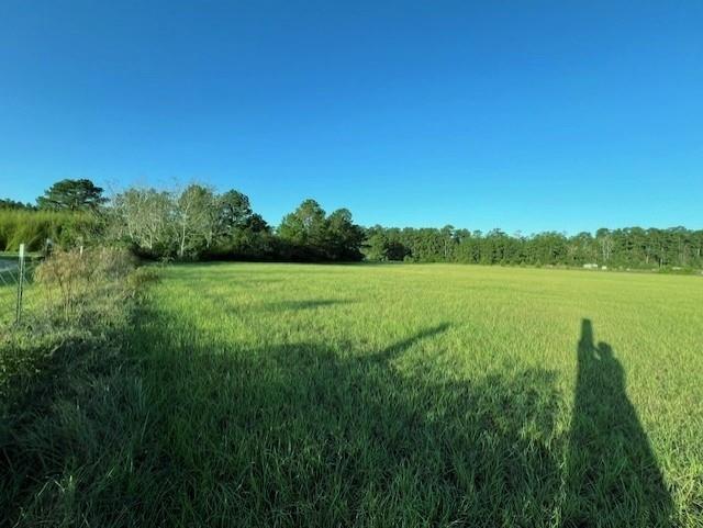 TBD State Highway 150, Coldspring, Texas image 13