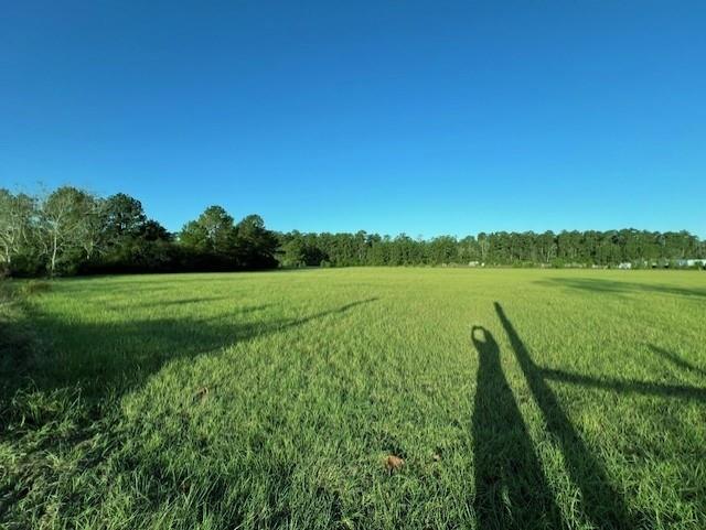 TBD State Highway 150, Coldspring, Texas image 9