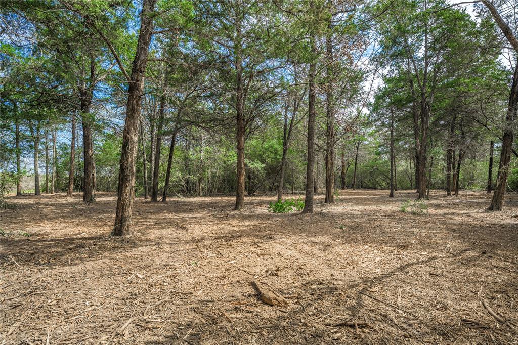 TBD Independence Tract 1 Street, Carmine, Texas image 2