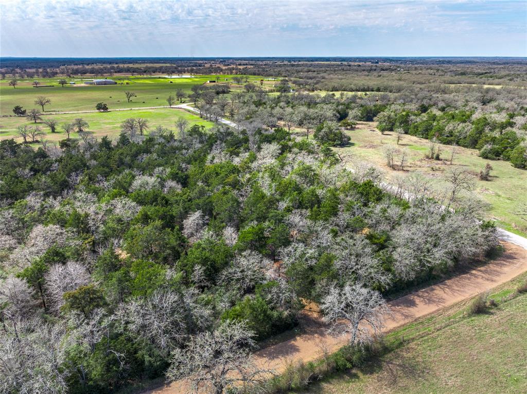 TBD Independence Tract 1 Street, Carmine, Texas image 14