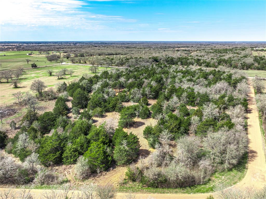 TBD Independence Tract 1 Street, Carmine, Texas image 12