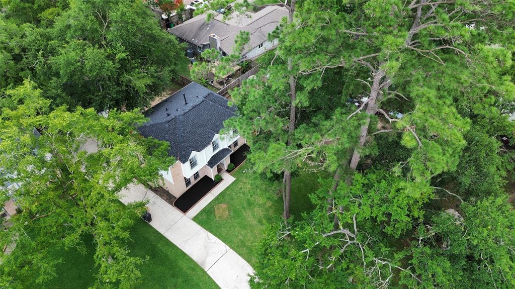 25014 Rettendon Court, Spring, Texas image 6