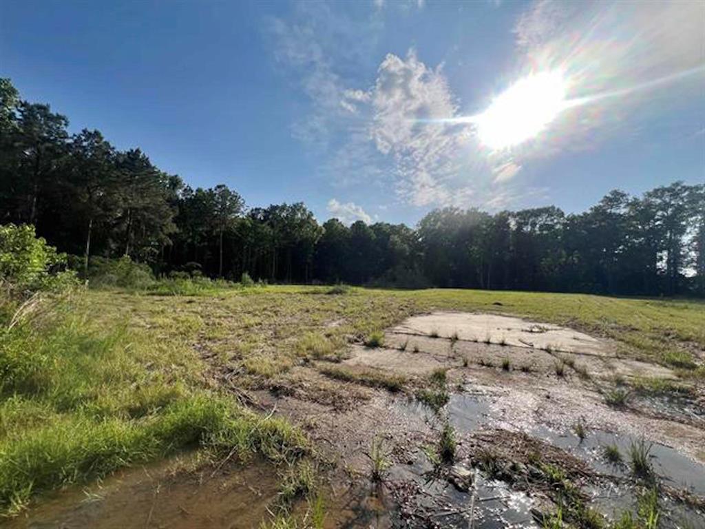 Sierra, Vidor, Texas image 8