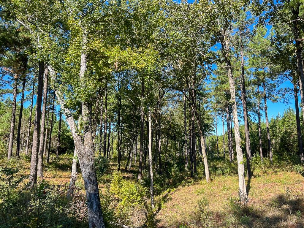 03 County Road 1090, Center, Texas image 10