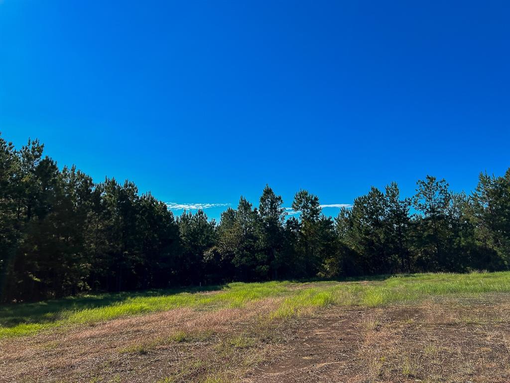 03 County Road 1090, Center, Texas image 8