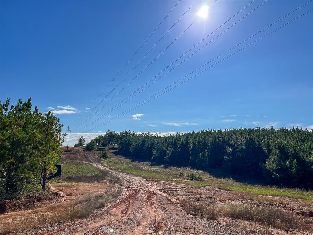 03 County Road 1090, Center, Texas image 6