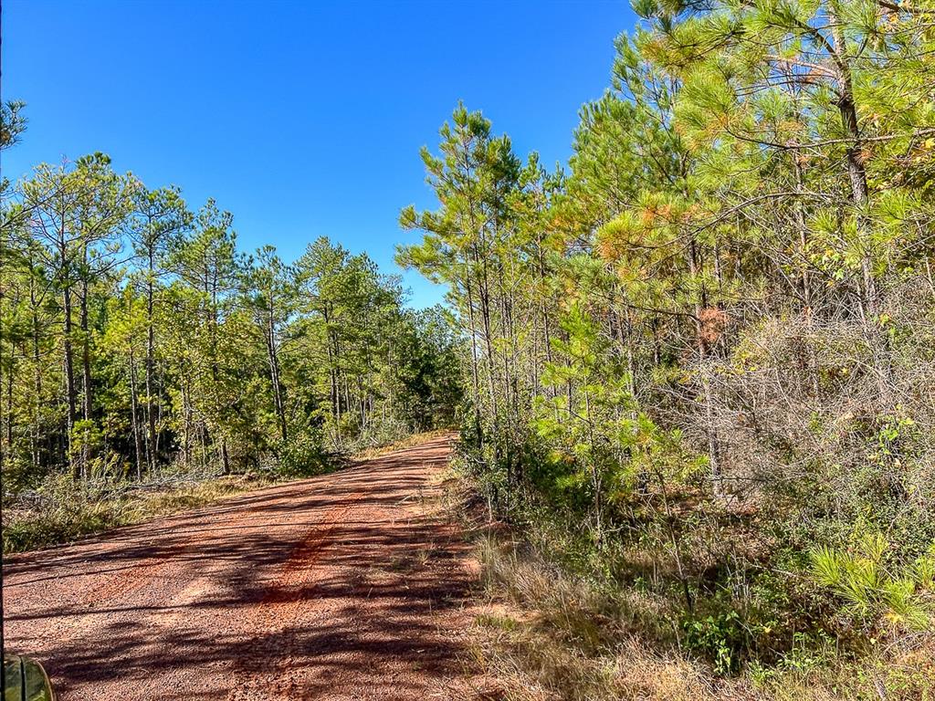 03 County Road 1090, Center, Texas image 16