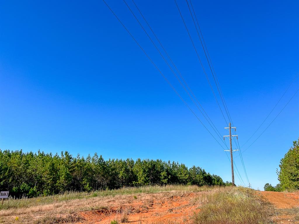 03 County Road 1090, Center, Texas image 14