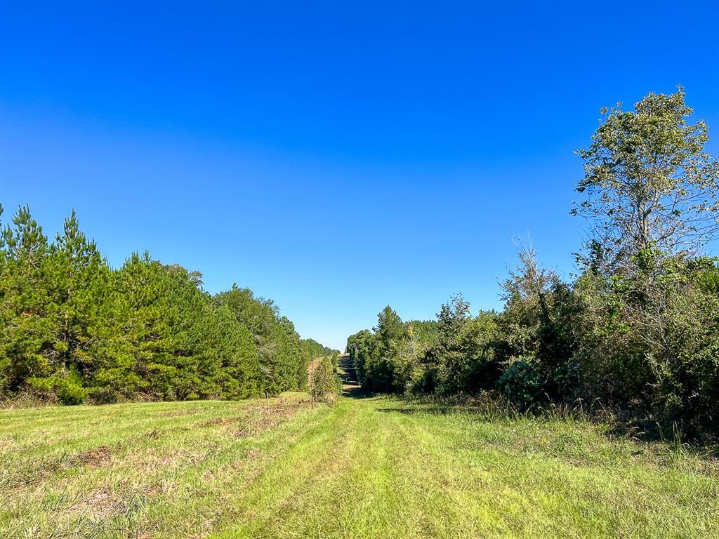 03 County Road 1090, Center, Texas image 2